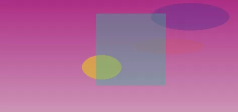 星空体育app团队