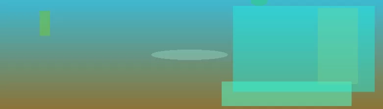星空体育app部门