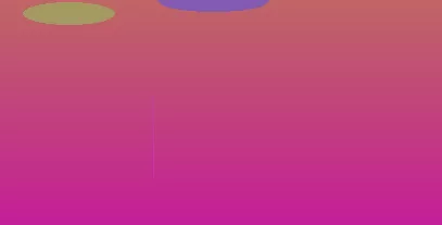 星空体育app部门