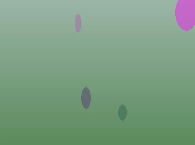 星空体育app公司