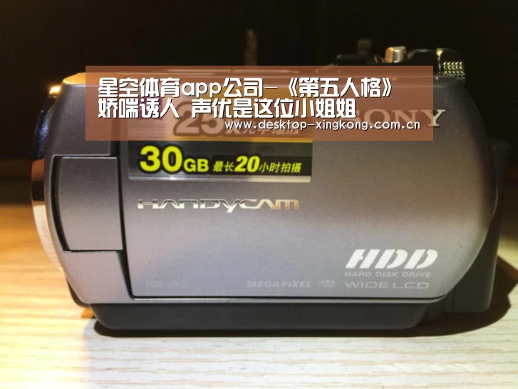 星空体育app团队