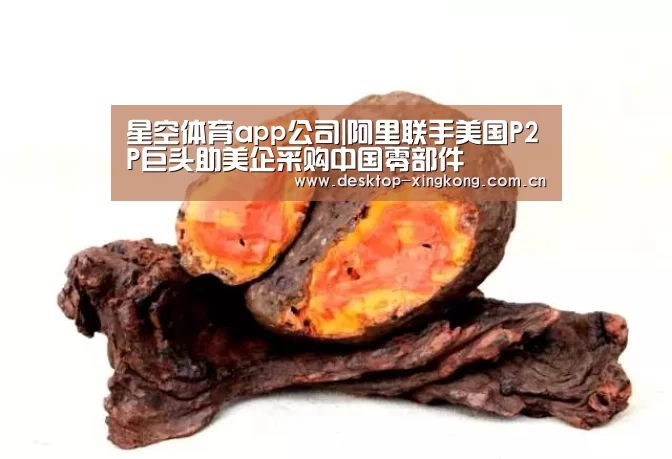 星空体育app部门