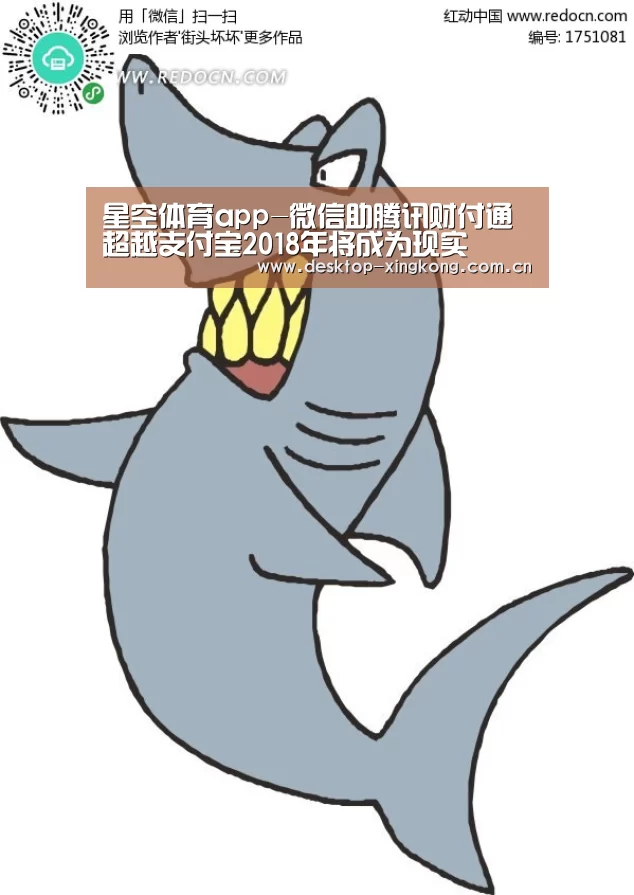 星空体育app团队