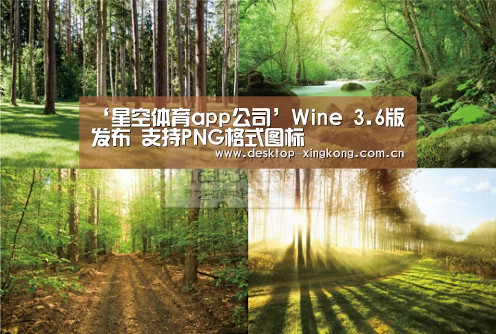 星空体育app部门
